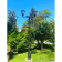 Парковый фонарь FUMAGALLI TABOR ADAM/NOEMI 2L E35.205.M20.AXH27