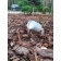 Ландшафтный светильник FUMAGALLI MINITOMMY SPIKE 1M1.001.000.LXU1L